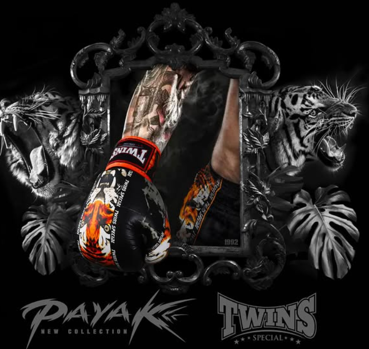 Pack d'entraînement Muay Thai Twins Special « Payak » Tiger Edition : gants et shorts