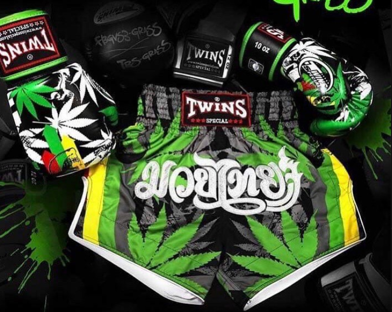 Pack d'entraînement Muay Thai Twins Special Edition « Grass » : gants et shorts